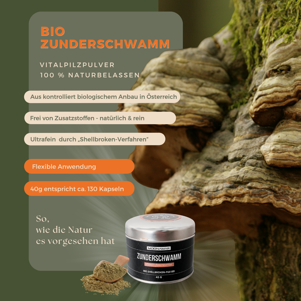 BIO Zunderschwamm (Fomes f.) Shellbroken* Pulver / 40G / MOONAMAR