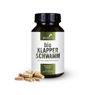 BIO Klapperschwamm (Maitake, Grifola f.) 120 vegane Kapseln / TYROLER GLÜCKSPILZE
