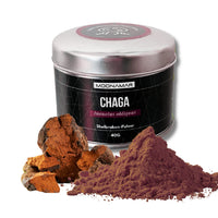 BIO Chaga (Inonotus o.) Shellbroken* Pulver / 40G / MOONAMAR