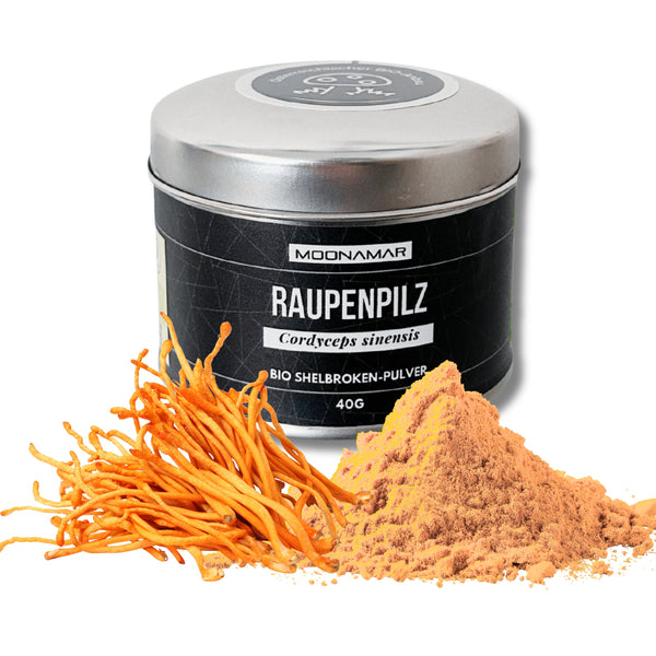 BIO Raupenpilz (Cordyceps s.) Shellbroken* Pulver / 40G / MOONAMAR
