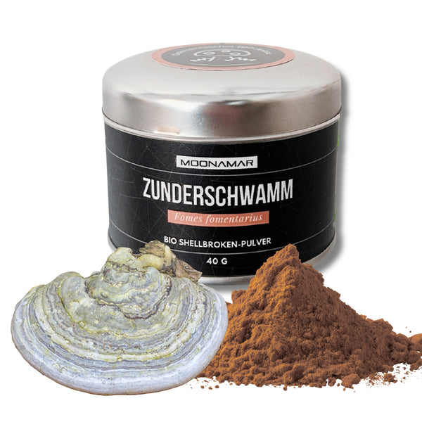 BIO Zunderschwamm (Fomes f.) Shellbroken* Pulver / 40G / MOONAMAR