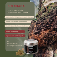 BIO Chaga (Inonotus o.) Shellbroken* Pulver / 40G / MOONAMAR