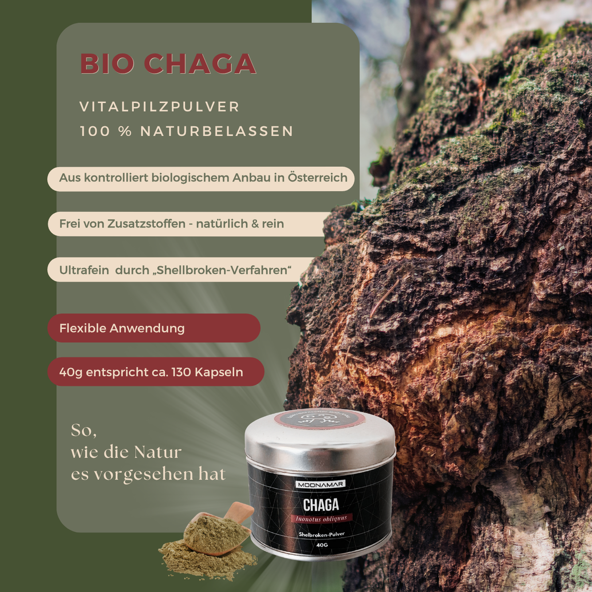BIO Chaga (Inonotus o.) Shellbroken* Pulver / 40G / MOONAMAR