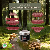 BIO Chaga (Inonotus o.) Shellbroken* Pulver / 40G / MOONAMAR