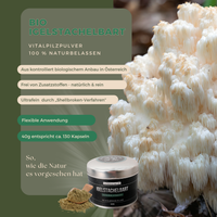 BIO Igelstachelbart (Hericium e.) Shellbroken* Pulver / 60G / MOONAMAR