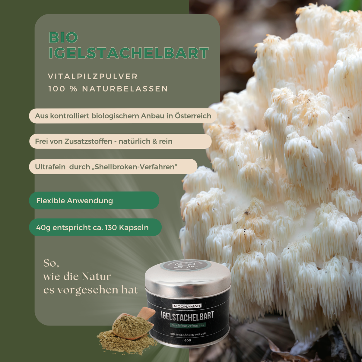 BIO Igelstachelbart (Hericium e.) Shellbroken* Pulver / 60G / MOONAMAR