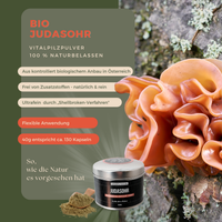 BIO Judasohr (Auricularia a. j.) Shellbroken* Pulver / 40G / MOONAMAR