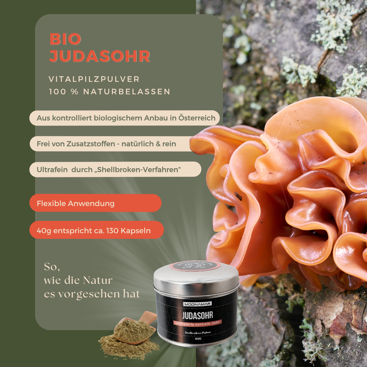 BIO Judasohr (Auricularia a. j.) Shellbroken* Pulver / 40G / MOONAMAR