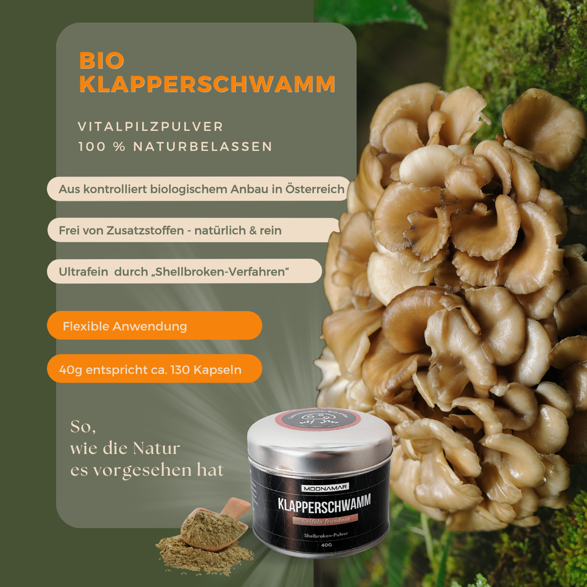 BIO Klapperschwamm (Maitake) Shellbroken* Pulver / 40G / MOONAMAR