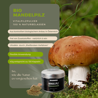 BIO Mandelpilz (Agaricus b. m.) Shellbroken* Pulver / 40G / MOONAMAR