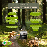 BIO Mandelpilz (Agaricus b. m.) Shellbroken* Pulver / 40G / MOONAMAR
