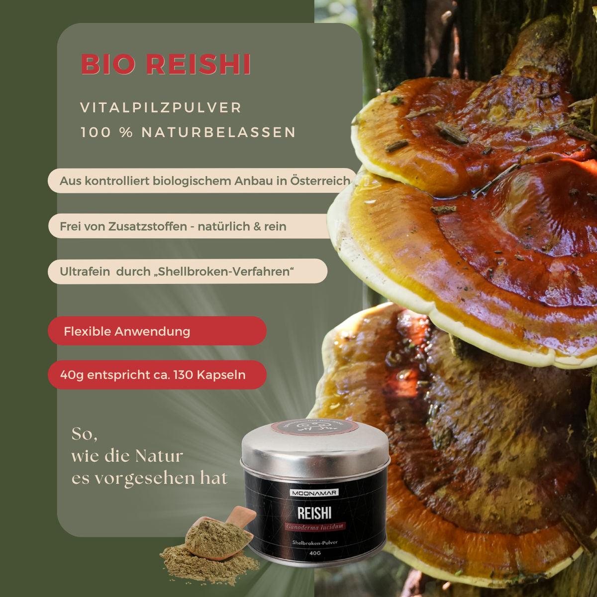 BIO Reishi (Ganoderma l.) Shellbroken* Pulver / 40G / MOONAMAR