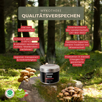 BIO Reishi (Ganoderma l.) Shellbroken* Pulver / 40G / MOONAMAR