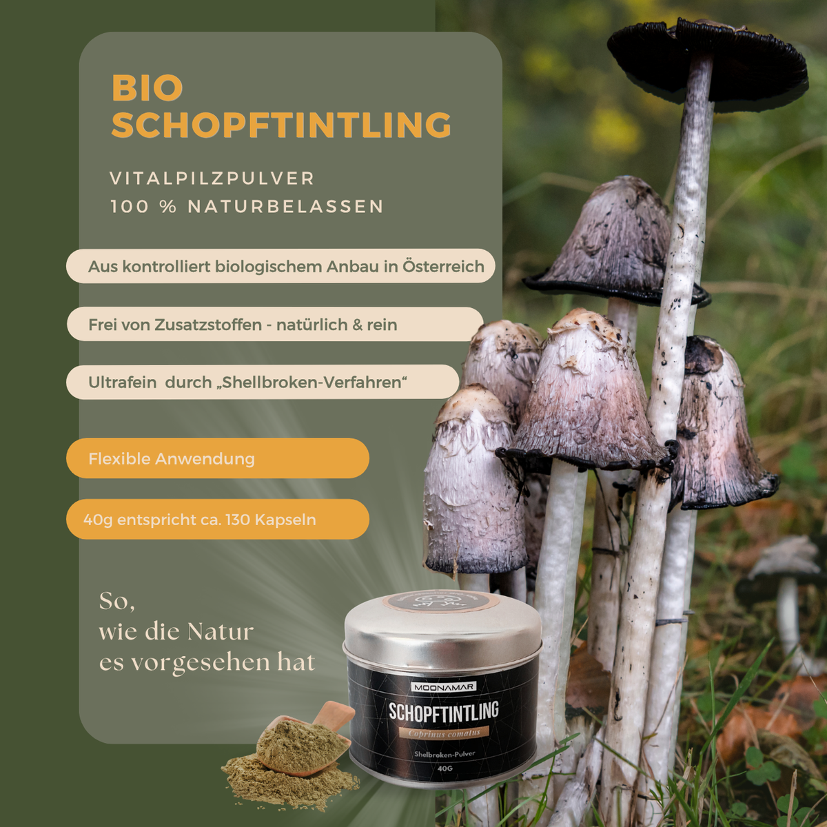 BIO Schopftintling (Coprinus c.) Shellbroken* Pulver / 40G / MOONAMAR