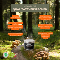BIO Zunderschwamm (Fomes f.) Shellbroken* Pulver / 40G / MOONAMAR