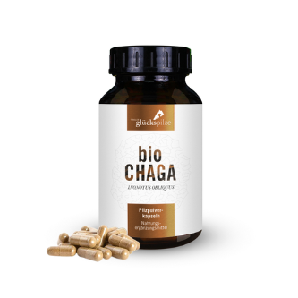 BIO Chaga (Inonotus o.) 120 vegane Kapseln / TYROLER GLÜCKSPILZE