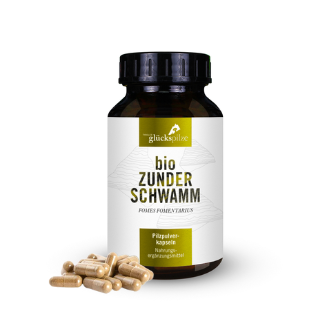 BIO Zunderschwamm (Fomes f.) 120 vegane Kapseln / TYROLER GLÜCKSPILZE