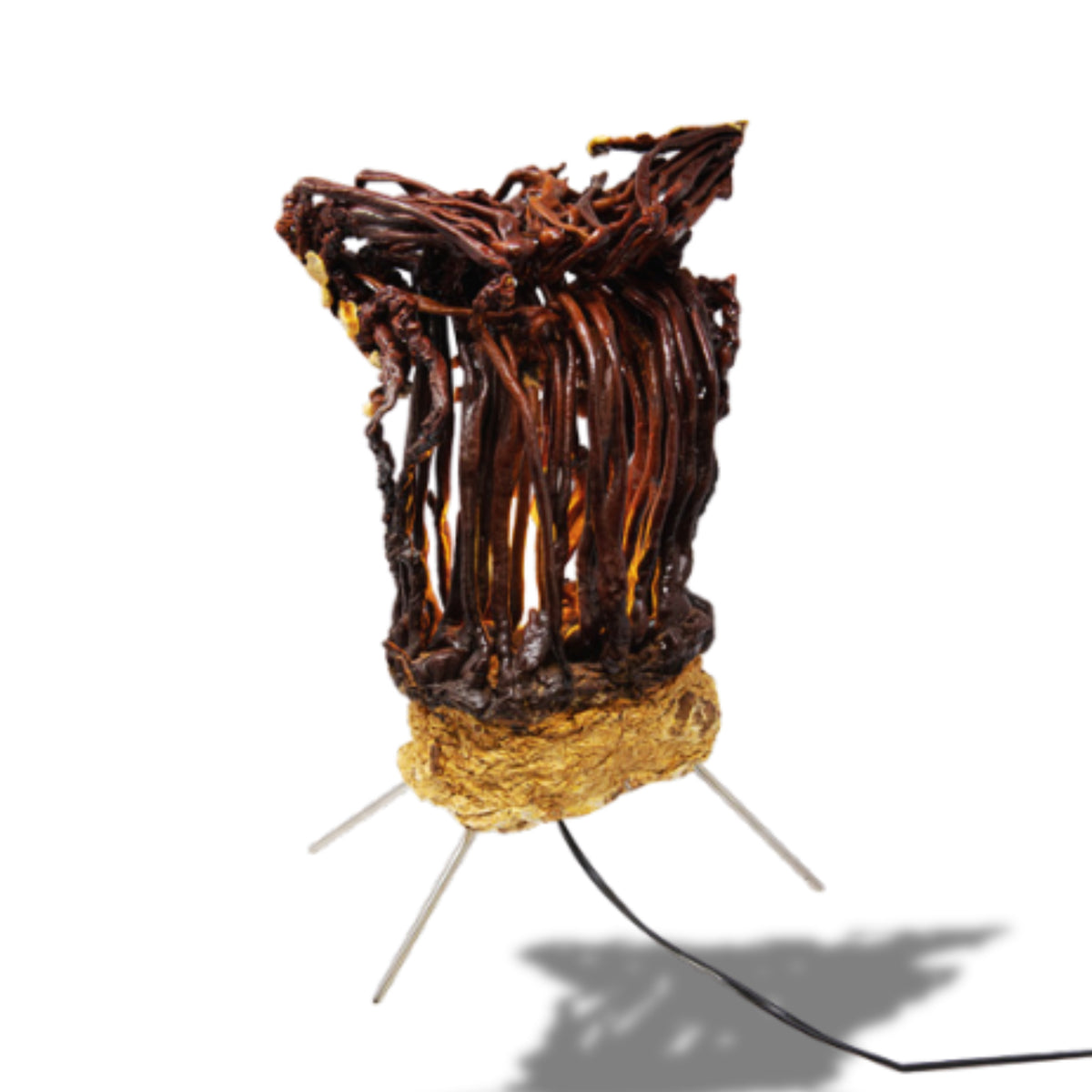 Reishi-Pilz-Lampe