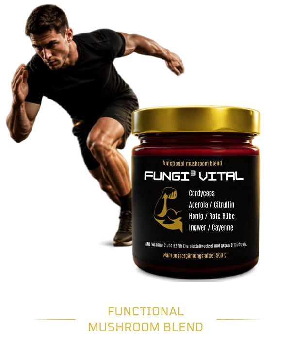 Einzigartige Honig-Vitalpilz-Mischung „FUNGI³ VITAL“