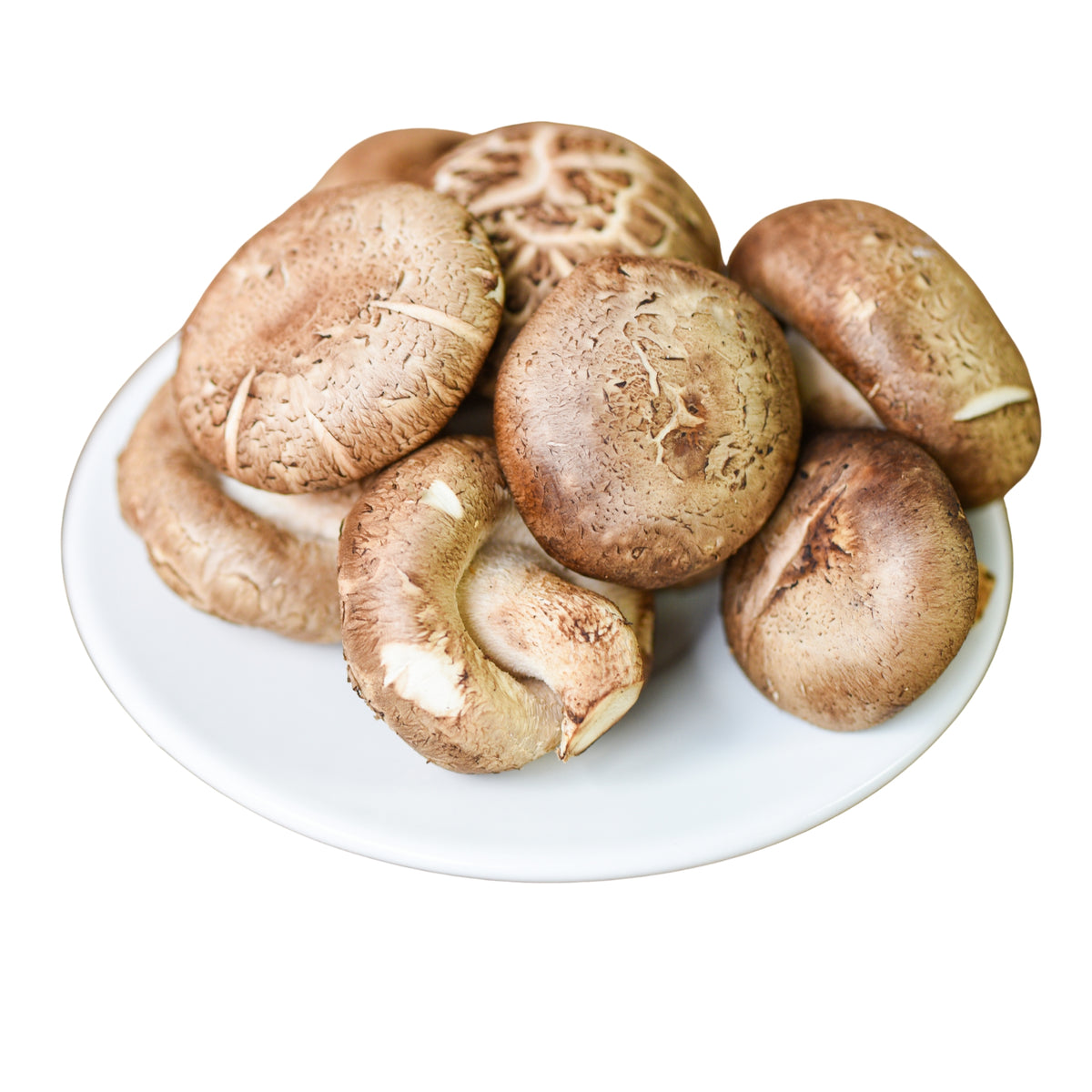 Frischer Bio-Shiitake (Nur auf Vorbestellung)