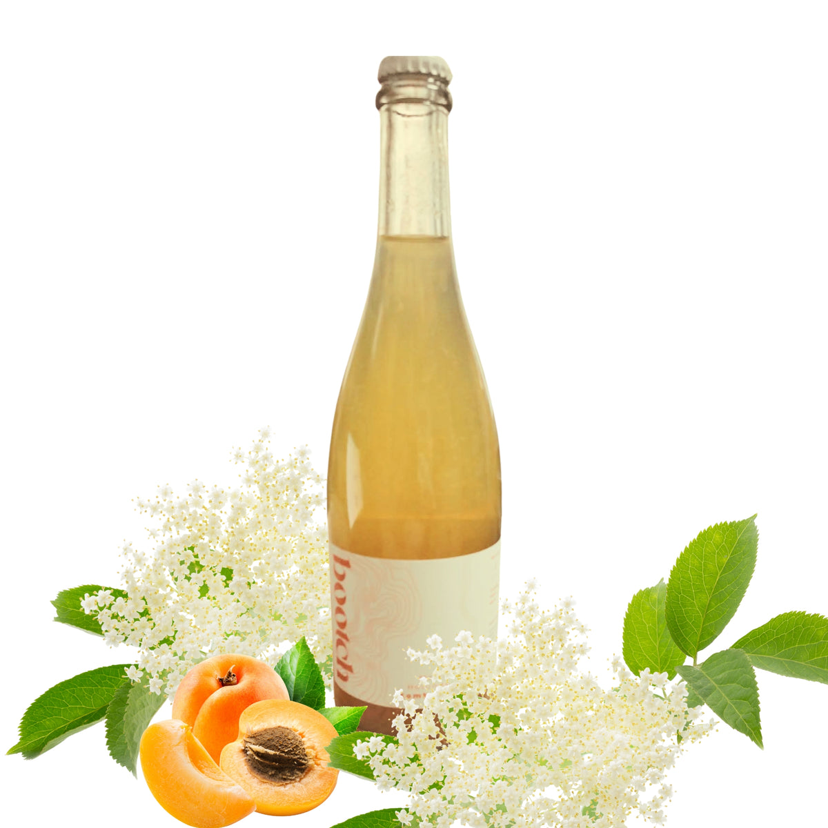 Kombucha Bootch mit Holunder & Marille 750ml