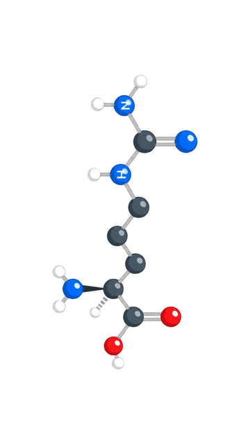 L-Citrullin - Der beliebte Aminosäure-Baustein