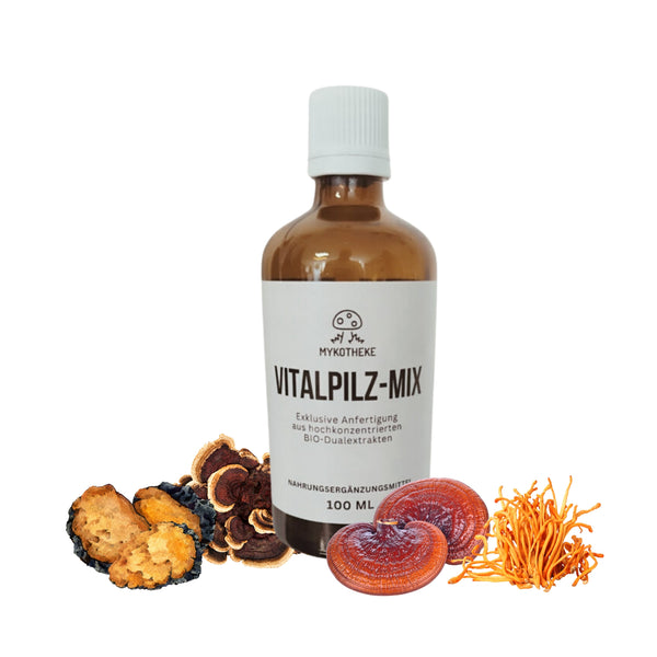 Individuelle Vitalpilzextrakt-Mischung 100ml -Selbst zusammenstellen