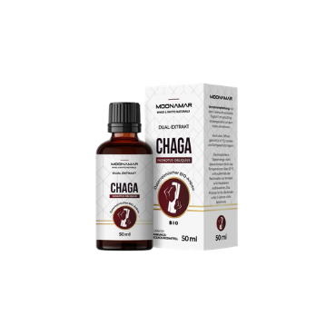 chaga mykotheke vitalpilze