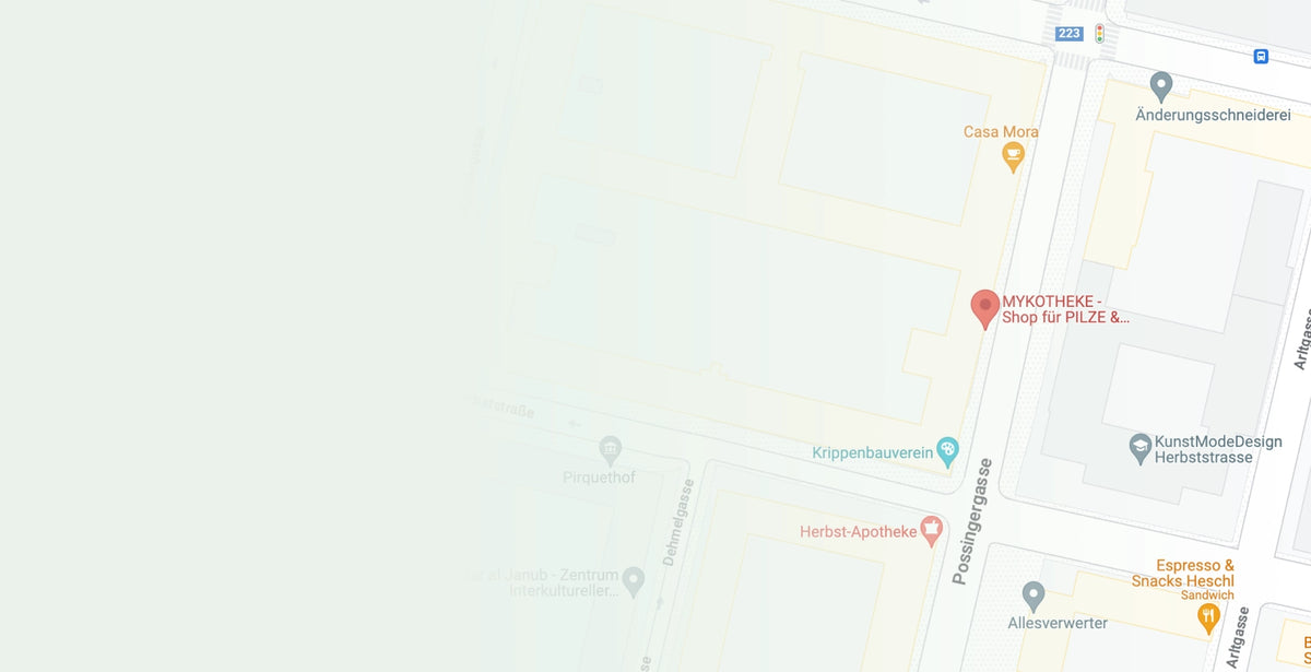 Map background mobile