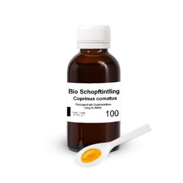  schopftintling glasfasche  flüssigextrakt vitalpilze