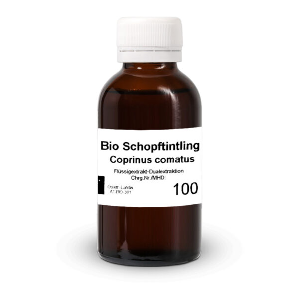 BIO Schopftintling (Coprinus comatus) von Tyroler Glückspilze aus österreichischem Anbau