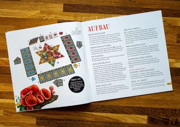 Aufbau vom Pilzfest Brettspiel - ein Gesellschaftsspiel mit Pilzen in Mykotheke Wien