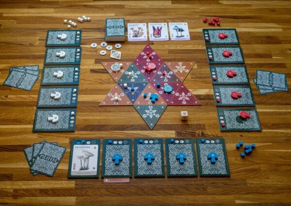 Pilzfest Brettspiel - ein Gesellschaftsspiel mit Pilzen in Mykotheke Wien
