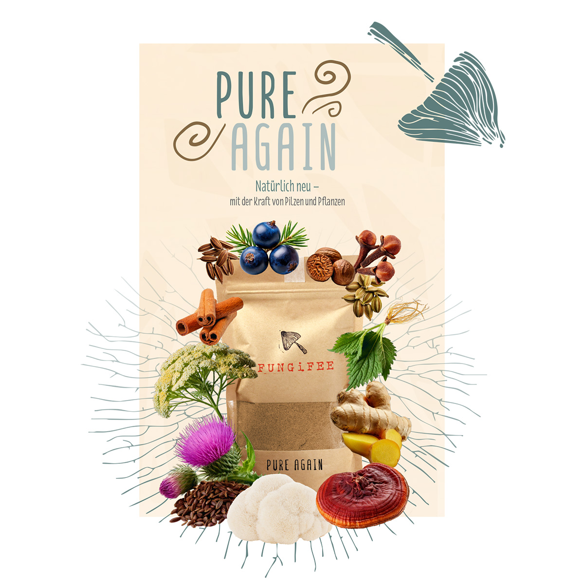 Pilzteemischung Pure Again von Fungifee